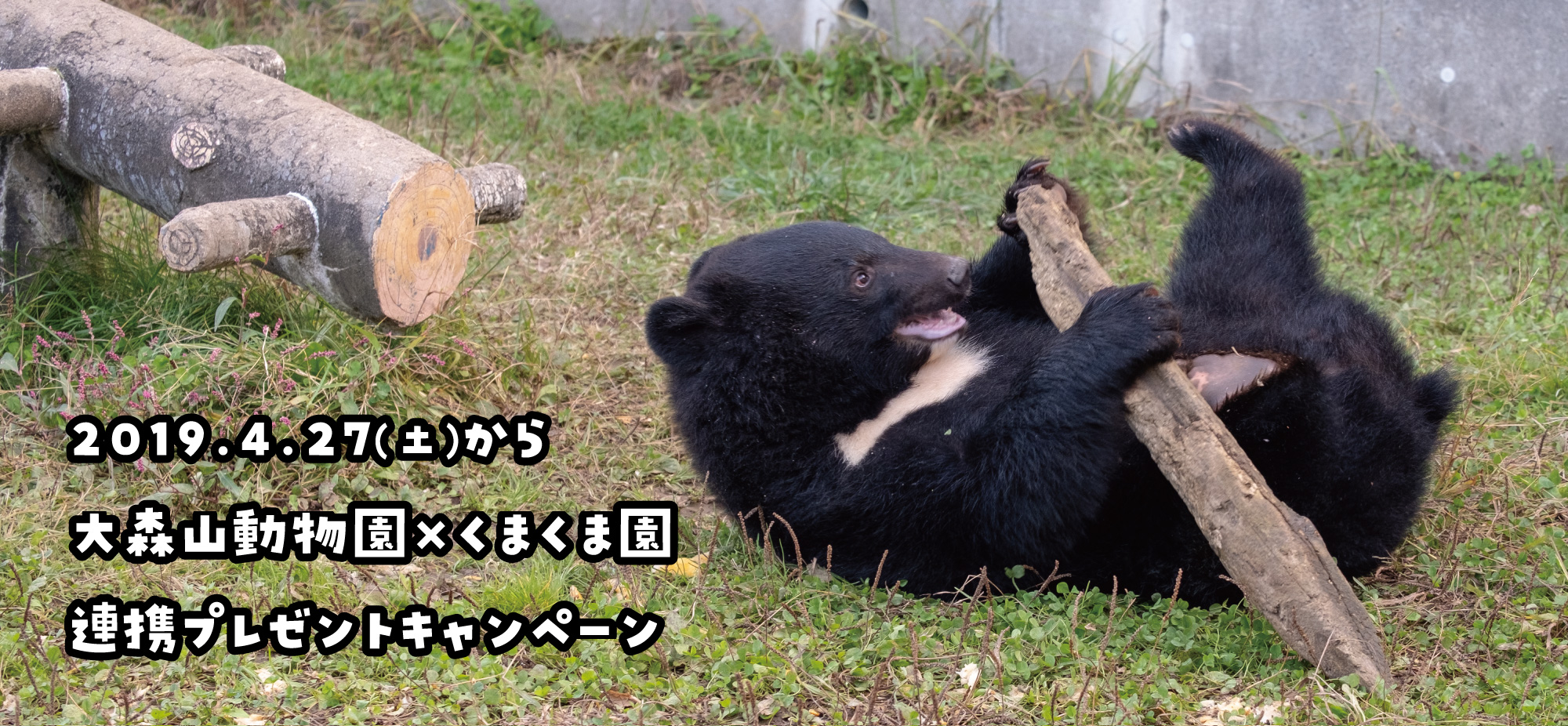 大森山動物園連携プレゼントキャンペーン | くまくま園 公式ホームページ