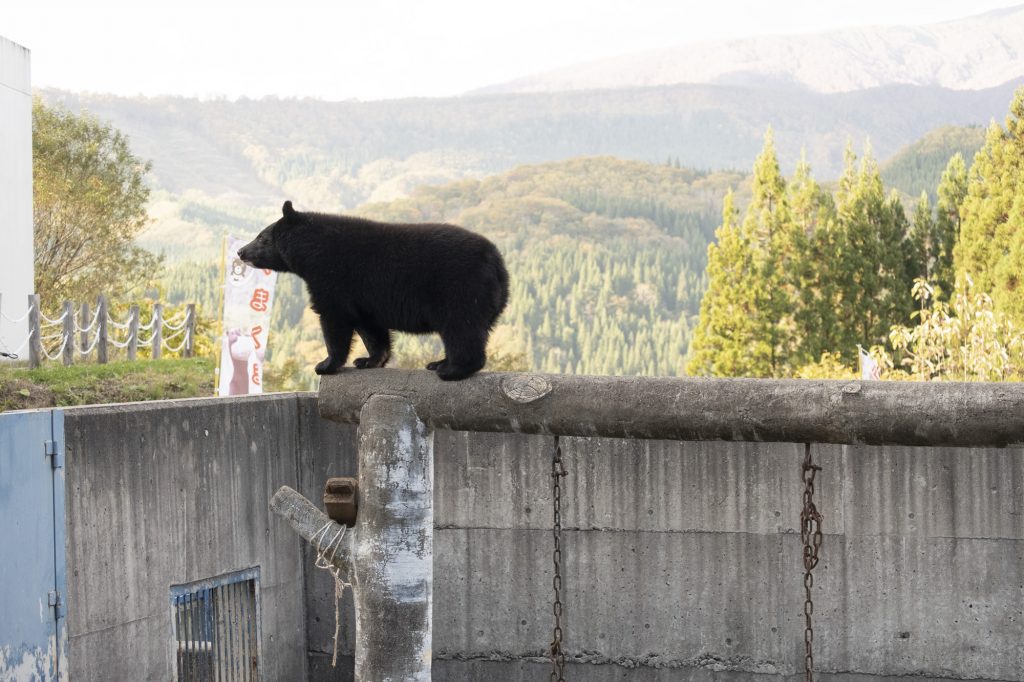 アクセス | くまくま園 公式ホームページ