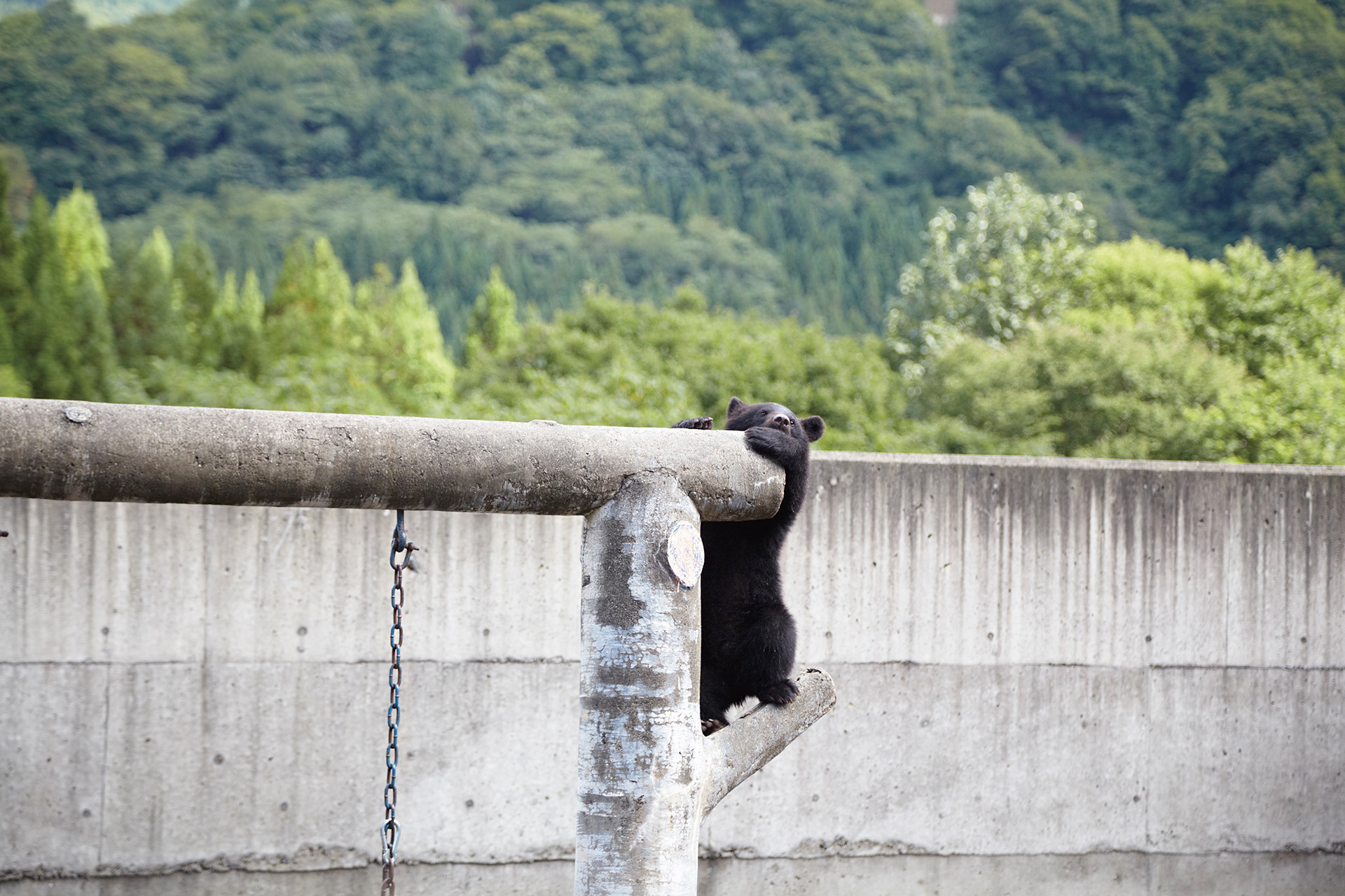 くまくま園オープン＆ゴールデンウィークイベントを開催します | くま