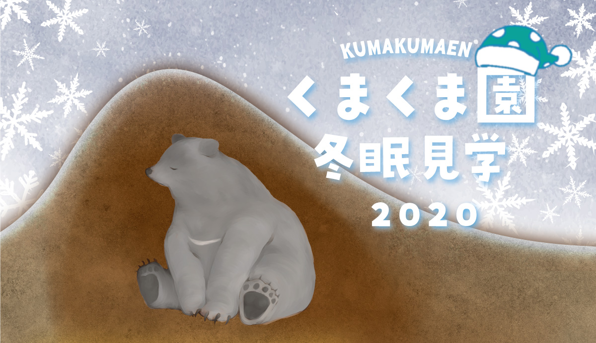 冬眠見学のおしらせ | くまくま園 公式ホームページ