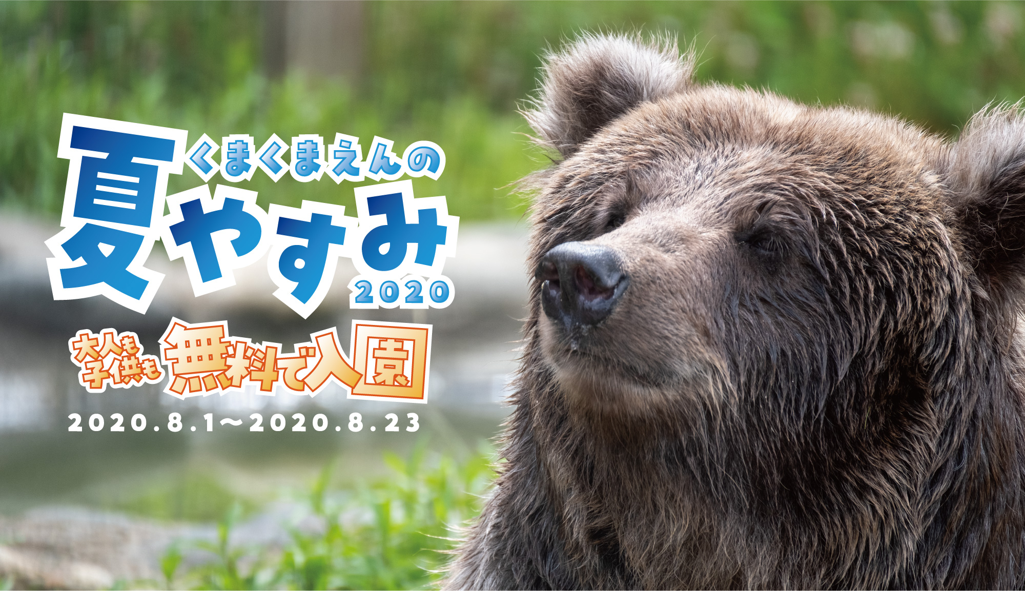 fc6927a4cd7fc6f068de9eb5d3ae4a