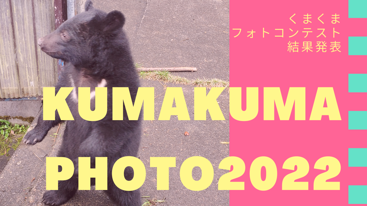 くまくまフォトコンテスト2022の結果発表 | くまくま園 公式ホームページ