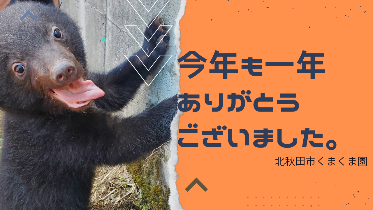 えり ピグマシリーズ 小学校1年 7月号〜翌年2月号(8ヶ月分)全量セット ピグマキッズくらぶ｜SAPIXの通信教育｜教材について